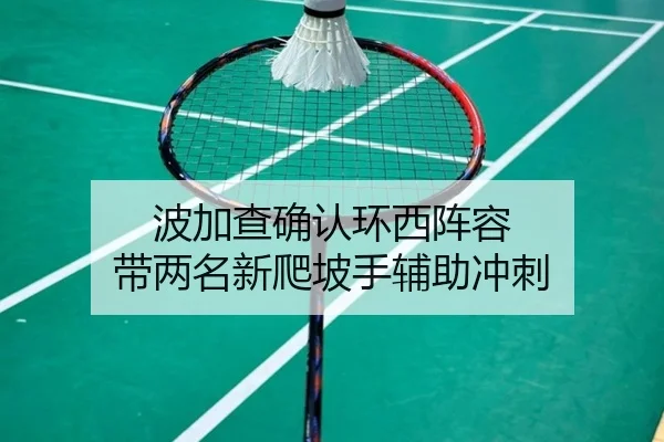 bo-jia-cha-que-ren-huan-xi-zhen-rong-dai-liang-ming-xin-pa-po-shou-fu-zhu-chong-ci-2-818.jpg