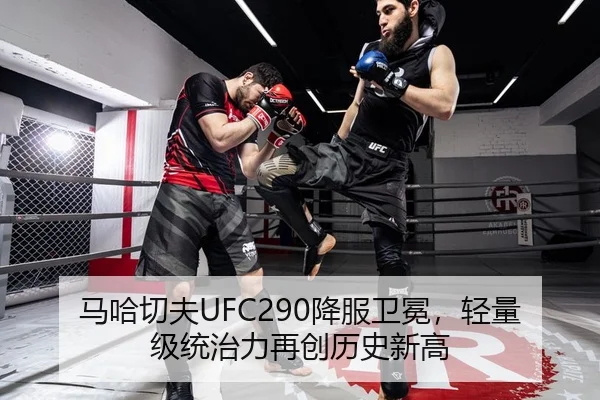 马哈切夫UFC290降服卫冕，轻量级统治力再创历史新高