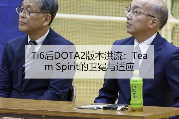 Ti6后DOTA2版本洪流：Team Spirit的卫冕与适应